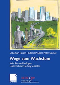Wege zum Wachstum - Sebastian Raisch - E-Book