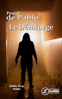 Le Démiurge - Pascal de Pablo - E-Book