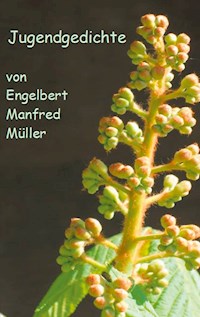 Jugendgedichte - Engelbert Manfred Müller - E-Book