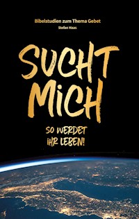 Sucht mich - Stefan Haas - E-Book