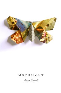 Mothlight - Adam Scovell - E-Book