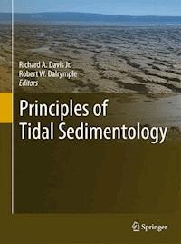 Principles of Tidal Sedimentology - - E-Book