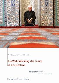 Die Wahrnehmung des Islams in Deutschland - Kai Hafez - E-Book