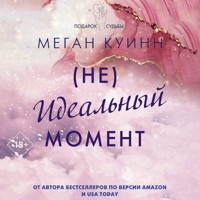 Неидеальный момент - Меган Куинн - Hörbuch