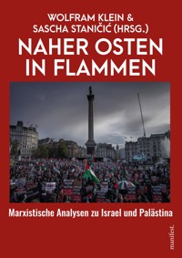 Naher Osten in Flammen - Sascha Staničić - E-Book