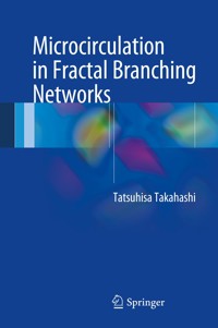 Microcirculation in Fractal Branching Networks - Tatsuhisa Takahashi - E-Book