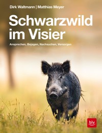 Schwarzwild im Visier - Matthias Meyer - E-Book