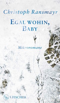 Egal wohin, Baby - Christoph Ransmayr - E-Book