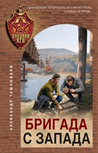 Бригада с запада - Тамоников Александр - E-Book
