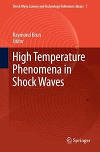 High Temperature Phenomena in Shock Waves -  - E-Book