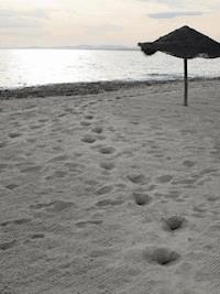 Das Versehen - Johannes Storks - E-Book