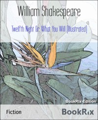 Twelfth Night Or, What You Will (Illustrated) - William Shakespeare - E-Book