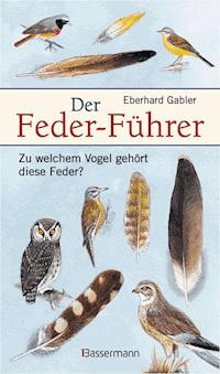 Der Feder-Führer - Eberhard Gabler - E-Book