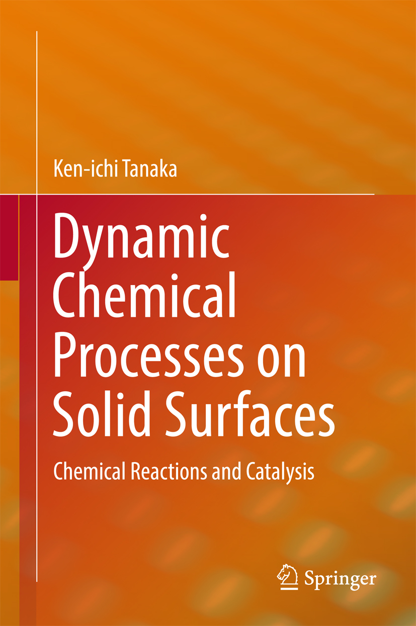 Dynamic Chemical Processes on Solid Surfaces - Ken-ichi Tanaka - E-Book