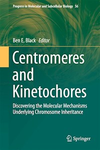 Centromeres and Kinetochores - - E-Book