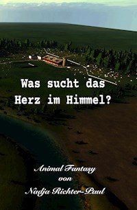Was sucht das Herz im Himmel? - Nadja Richter-Paul - E-Book