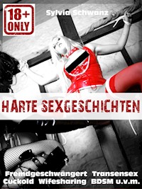 Harte Sex-Geschichten! - Sylvia Schwanz - E-Book