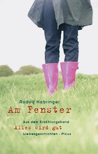 Am Fenster - Rudolf Habringer - E-Book