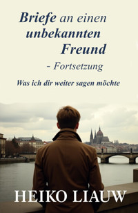 Briefe an einen unbekannten Freund - Fortsetzung - Heiko Liauw - E-Book