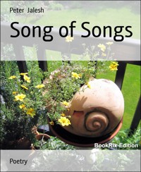 Song of Songs - Peter Jalesh - E-Book
