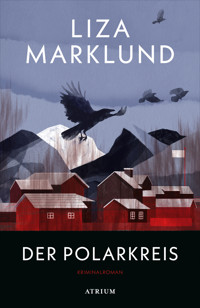 Der Polarkreis - Liza Marklund - E-Book
