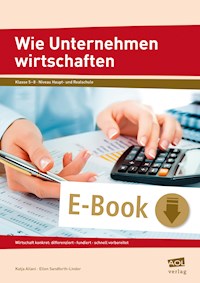 Wie Unternehmen wirtschaften - Katja Allani - E-Book