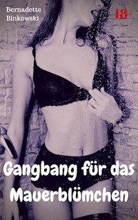 Gangbang für das Mauerblümchen - Bernadette Binkowski - E-Book