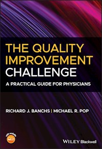 The Quality Improvement Challenge - Richard J. Banchs - E-Book