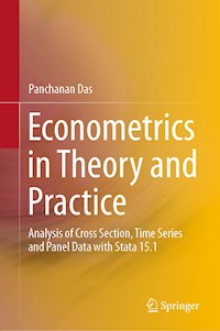 Econometrics in Theory and Practice - Panchanan Das - E-Book