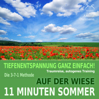 11 Minuten Sommer - Tiefenentspannung ganz einfach! Auf der Wiese - Traumreise, Autogenes Training - mit der 3-7-1 Methode - mit Naturklängen und Entspannungsmusik 432 Hz - Torsten Abrolat - Hörbuch
