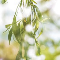 Необыкновенный день - Марина Бабанская - Hörbuch