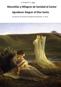 Maravillas y Prodigios Milagros Rescates del Dios Santo Creador - R. ELIZABETH S. C. SELIG - E-Book