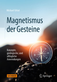 Magnetismus der Gesteine - Michael Urbat - E-Book