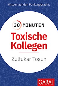 30 Minuten Toxische Kollegen - Zulfukar Tosun - E-Book