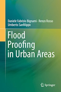 Flood Proofing in Urban Areas - Daniele Fabrizio Bignami - E-Book