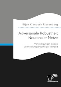 Adversariale Robustheit Neuronaler Netze. Verteidigungen gegen Vermeidungsangriffe zur Testzeit - Bijan Kianoush Riesenberg - E-Book