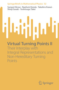 Virtual Turning Points II - Sampei Hirose - E-Book