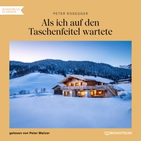 Als ich auf den Taschenfeitel wartete - Peter Rosegger - Hörbuch