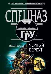 Освобождение - Михаил Нестеров - E-Book