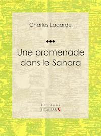 Une promenade dans le Sahara - Ligaran - E-Book