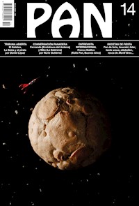 PAN 14 - aa.vv - E-Book