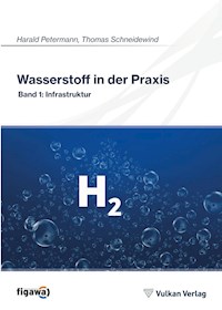Wasserstoff in der Praxis - Thomas Schneidewind - E-Book