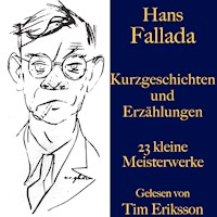 Hans Fallada: Kurzgeschichten und Erzählungen - Hans Fallada - Hörbuch