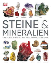 Steine & Mineralien - Ronald Louis - E-Book