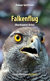Falkenflug - Rainer Gottwald - E-Book
