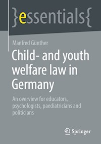 Child- and youth welfare law in Germany - Manfred Günther - E-Book