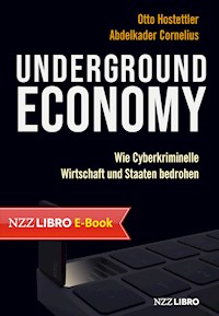 Underground Economy - Otto Hostettler - E-Book