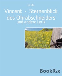 Vincent  -  Sternenblick des Ohrabschneiders - Jo Stü - kostenlos E-Book