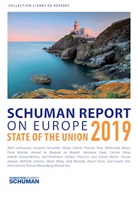 Schuman report on Europe - Pascale Joannin - E-Book