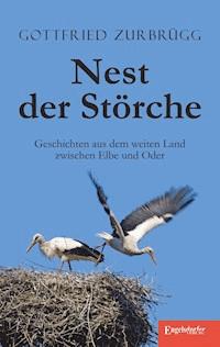 Nest der Störche - Gottfried Zurbrügg - E-Book
